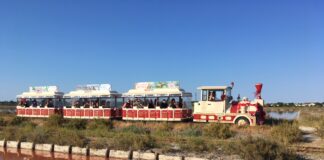 Ripartono oggi le escursioni in trenino alla Salina di Cervia