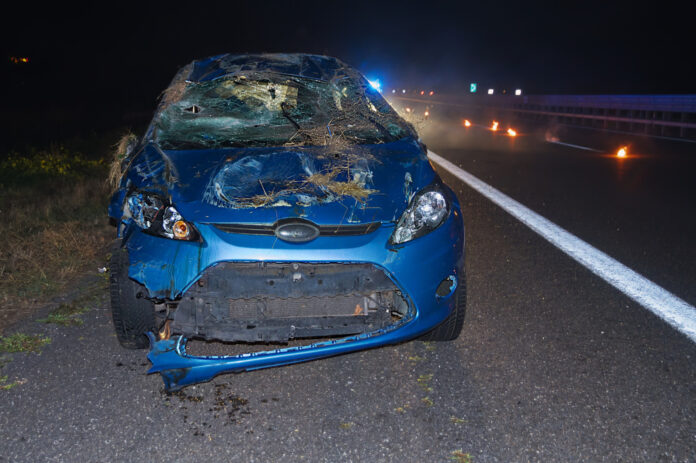 WhatsApp Image 2024-08-26 at 10.11.01