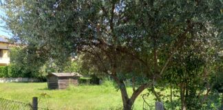 Spadoni (LpRa): “Area verde indecorosa quasi abbandonata a ridosso del centro sportivo”