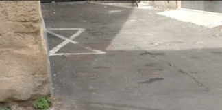 Cattivi odori: tornano le lamentele contro i padroni maleducati di cani