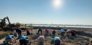 Cervia: due giornate di open day agli scavi a Prato della Rosa
