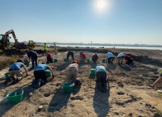 Cervia: due giornate di open day agli scavi a Prato della Rosa