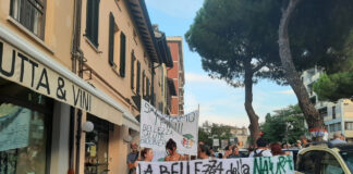 Ravenna in Comune: 27 novembre ore 12.30 salviamo gli alberi davanti al tribunale