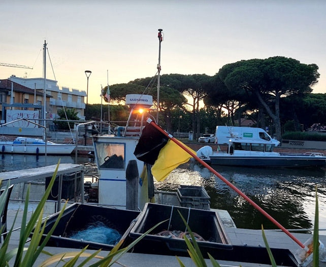 pesca artigianale cervia foto di piergiorgio vasi