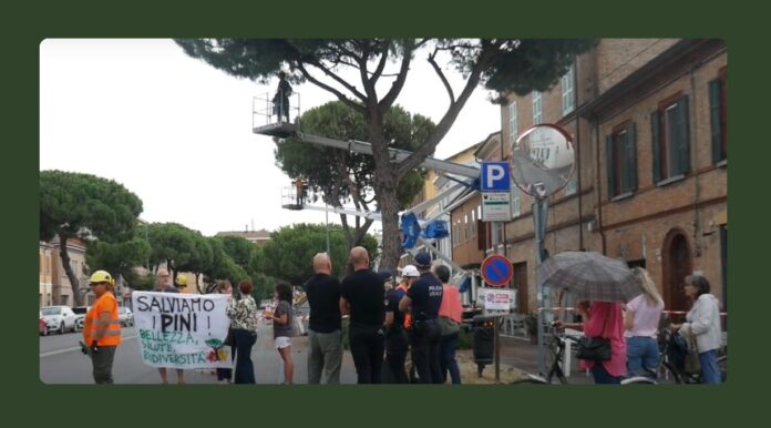 photo_2024-07-31_00-52-05 (1)