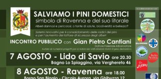 Ravenna in Comune: “Il pino rimarrà solo sullo stemma”