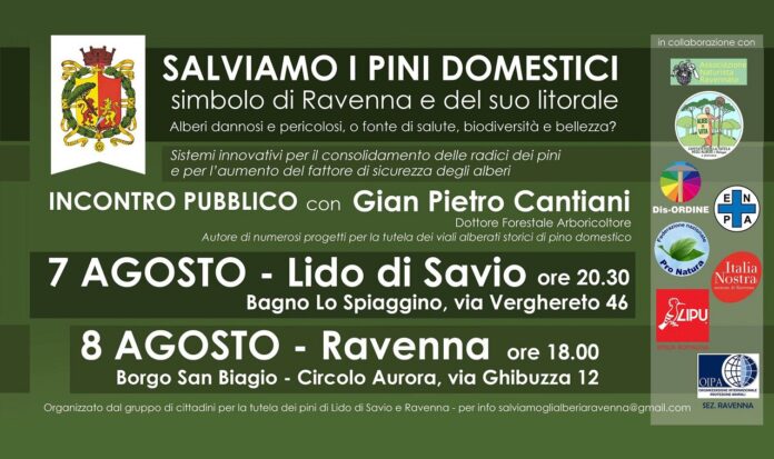 photo_2024-08-06_12-40-33