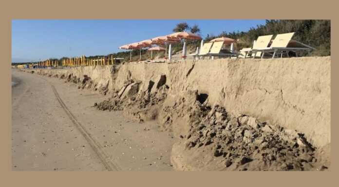 photo_2024-08-14_01-40-12 (1)