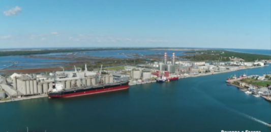 Petri alla guida di Assoporti. Le sfide dei prossimi anni: transizione energetica, digitalizzazione, integrazione porto-città