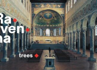 Alberi, oasi naturali e arte: il quinto episodio della web serie dedicata a Ravenna