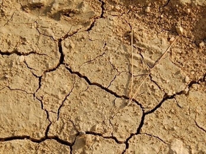 tropicalizzazione-del-clima-coldiretti-lagricoltura-pugliese-ha-perso-tre-miliardi-di-euro-in-dieci-anni-1579762577-grande