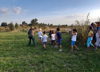 Bagnacavallo: aperte le prenotazioni per il festival dei bambini “Verde brillante”