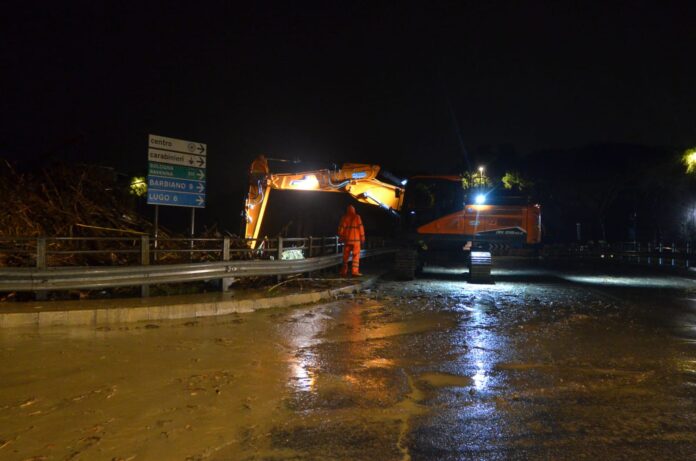 01306ee5-fd90-4008-8f65-363e26f629ec