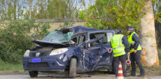 Ravenna: 31 enne sbanda con l’auto e centra un platano. Portato al Bufalini in gravi condizioni