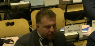 Ancarani al Comitato Europeo per discutere di cambiamenti climatici e alluvioni