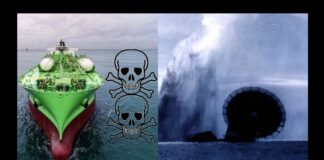 Ravenna in Comune: da Paguro a BW Singapore il gas fa paura