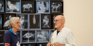 Fusignano: al museo civico “San Rocco” la mostra “Ex Profundis” di Massimo Pulini