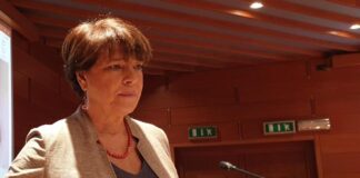 Europa Verde: indegne le polemiche del Ministro Musumeci. Per il futuro serve lavorare per la prevenzione