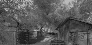 Mostra fotografica di Gabriele Fusconi lungo i corridoi dell’Ospedale di Ravenna