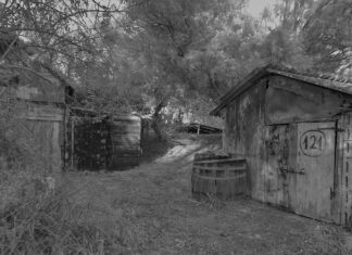 Mostra fotografica di Gabriele Fusconi lungo i corridoi dell’Ospedale di Ravenna