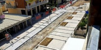 Ravenna in Comune: “La città degli alberi morti”