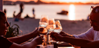 Faenza: Caviro e Casa Spadoni insieme per l’Ora Blu