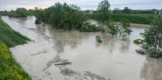 Evacuazione per i residenti nel perimetro delineato da via Basilica, via Reale, confine comunale e canale destra Reno