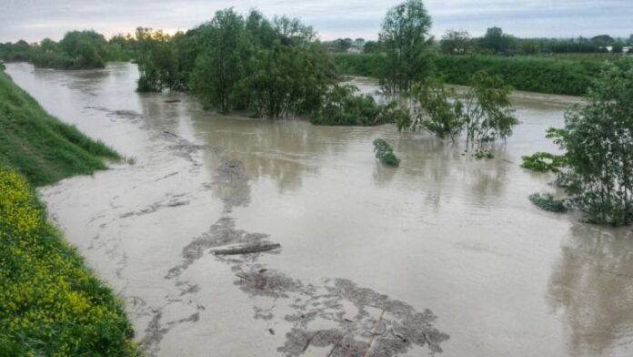 P1100590-01-1_CR477521_MG3072070