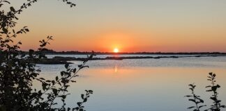 “Leggermente salato”: aperitivo al tramonto tra poesie romagnole alla Salina di Cervia
