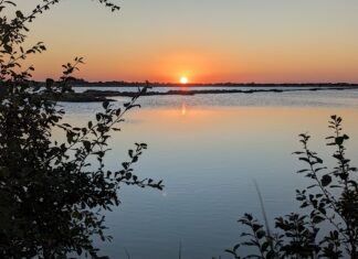 “Leggermente salato”: aperitivo al tramonto tra poesie romagnole alla Salina di Cervia
