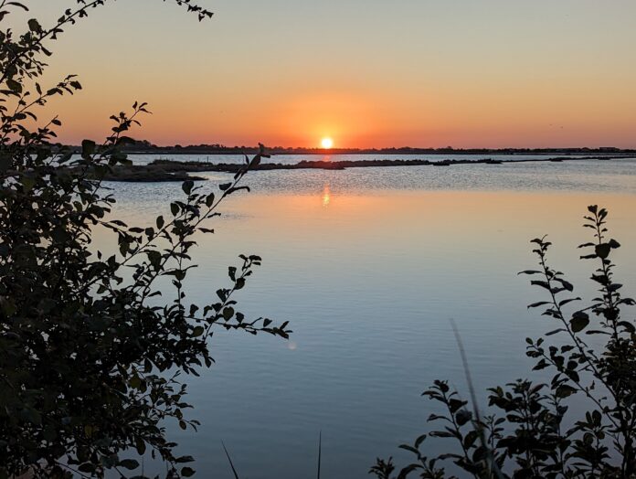 PXL_20230727_183609390