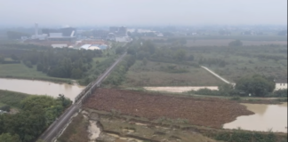 La legna ferma contro il ponte di Boncellino