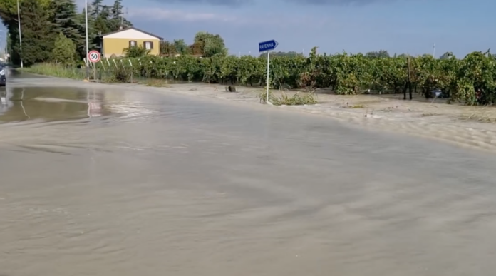 Schermata 2024-09-20 alle 10.50.35