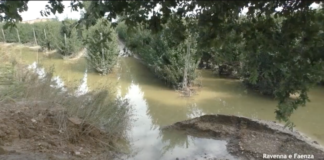 Coldiretti: Traversara, ancora acqua e fango