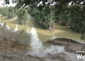 Coldiretti: Traversara, ancora acqua e fango