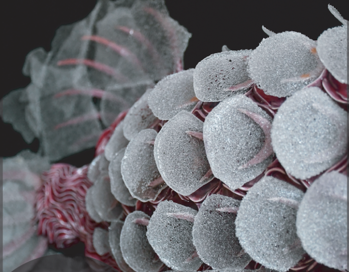 Schermata 2024-09-30 alle 08.39.27