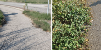 Ancisi (LpRa): Ciclopedonale di via Quaroni malmessa e abbandonata