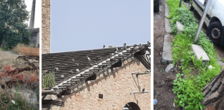 Ancisi (LpRa): Nuovo supermercato in via Venezia sotto le antiche mura