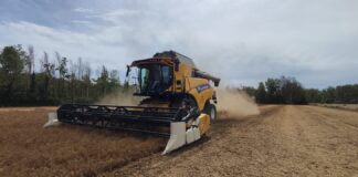 Report dell’agricoltura di CIA: produzioni in calo, mancanza di manodopera, scarso ricambio generazionale