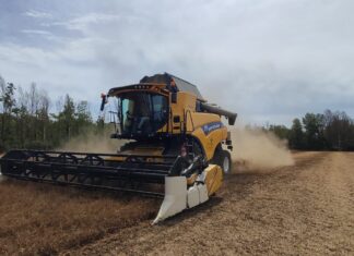 Report dell’agricoltura di CIA: produzioni in calo, mancanza di manodopera, scarso ricambio generazionale