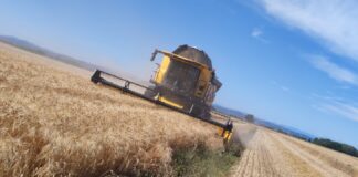 Ordinanza Caldo. Cia: “Salute e sicurezza centrali. Ma le norme rigide penalizzano le imprese agricole”