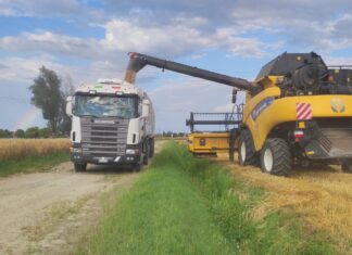 Dazi: Coldiretti, con il 15% servono compensazioni UE per i settori più colpiti