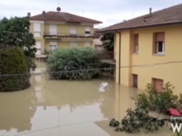 Alluvione. Attivo il sistema di prenotazione online per gli sportelli territoriali