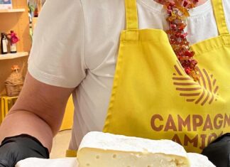 Dalla mucca al formaggio: primo appuntamento con la gioco-scuola al mercato di Campagna Amica