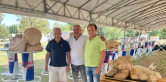 Donati alimenti dalla Federazione italiana Dragon Boat al Dormitorio Comunale “Re di Girgenti” e “Agriambiente Ravenna“