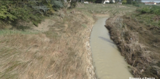 Confluenza Marzeno-Lamone: dove è nata la terza alluvione di via Cimatti