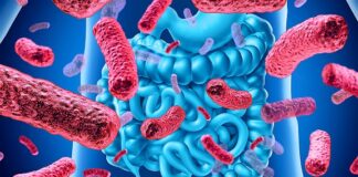 L’Ausl Romagna entra a far parte del Programma nazionale Trapianto di Microbiota Fecale Umano (FMT)