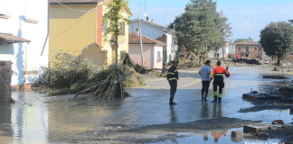 A Traversara nessun disperso. I militari al lavoro per togliere la legna al ponte di Boncellino