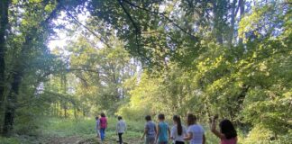 Bagnacavallo: al via il festival dei bambini “Verde brillante”