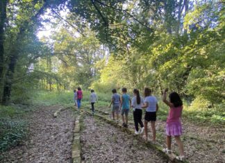 Bagnacavallo: al via il festival dei bambini “Verde brillante”